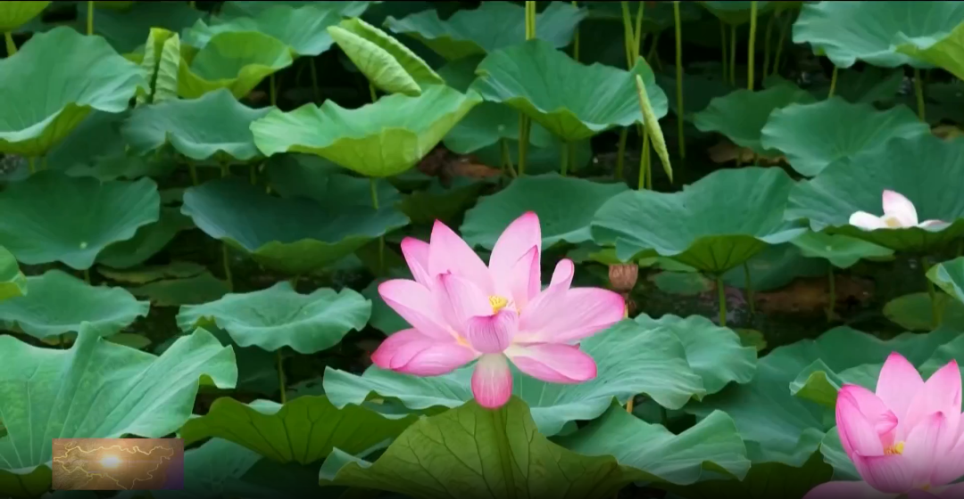 微信图片_2026-08-27_085920_088.png